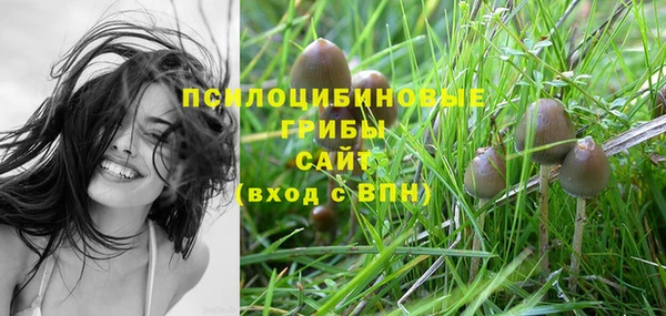 ПСИЛОЦИБИНОВЫЕ ГРИБЫ Няндома