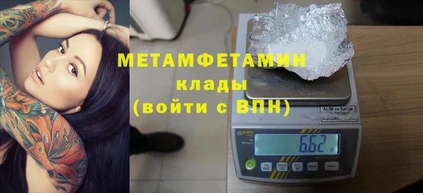 ПСИЛОЦИБИНОВЫЕ ГРИБЫ Няндома