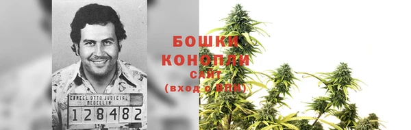 ПСИЛОЦИБИНОВЫЕ ГРИБЫ Няндома