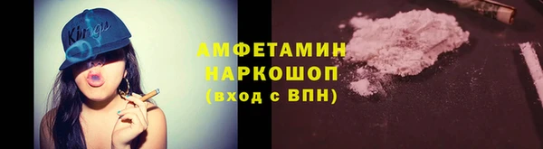 ПСИЛОЦИБИНОВЫЕ ГРИБЫ Няндома