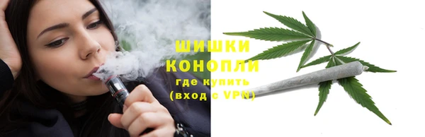 ПСИЛОЦИБИНОВЫЕ ГРИБЫ Няндома