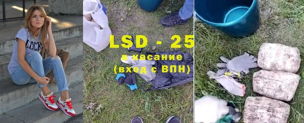 ПСИЛОЦИБИНОВЫЕ ГРИБЫ Няндома
