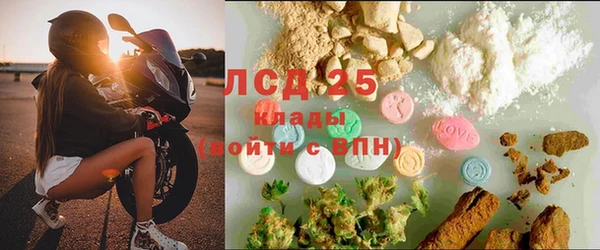 ПСИЛОЦИБИНОВЫЕ ГРИБЫ Няндома