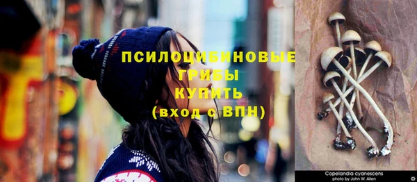 ПСИЛОЦИБИНОВЫЕ ГРИБЫ Няндома