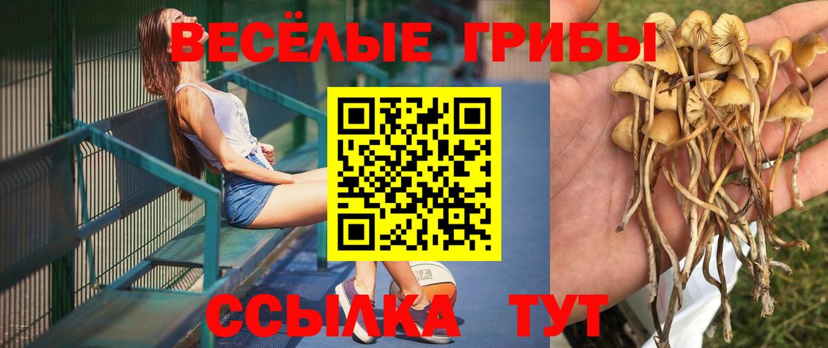 магазин    Галлюциногенные грибы мицелий  Вход с VPN  Галлюциногенные грибы Cubensis  Троицк 