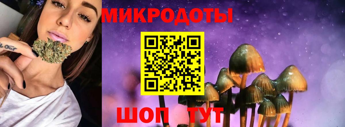 Галлюциногенные грибы Psilocybe Троицк